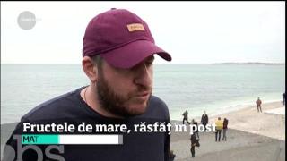 Observator de weekend