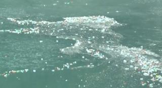 Imagini revoltătoare. PET-urile au invadat din nou Lacul Bicaz (Video)