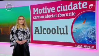 Cele mai ciudate motive pentru care au fost anulate zboruri aeriene (Video)