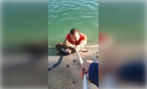 Român la un pas de moarte, în Spania, după ce sare să salveze un câine de la înec: "Nu mai am putere!" (Video)