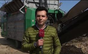 Copacii rupți din București, transformați în îngrăşământ pentru parcuri