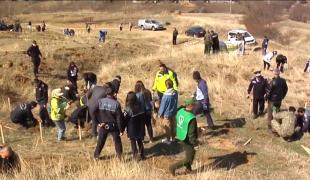 Alunecările din localitatea Izvoarele, judeţul Galaţi, oprite cu ajutorul împăduririi