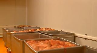 Alerte alimentare în serie, într-o singură zi, cu fructe confiate, biscuiți și carne