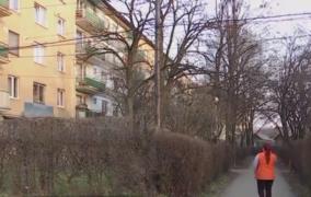 Filmul crimei din Sighetu Marmației. Femeia i-ar fi spus ucigașului că nu este tatăl biologic al unui copil