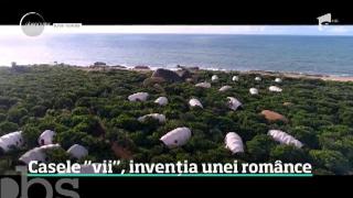 Observator de weekend