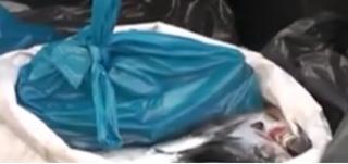 Doi bărbaţi, prinşi când încercau să vândă hering pe post de scrumbie la Brăila