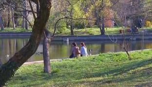 Spectacolul primăverii, la Grădina Botanică din București