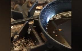 Firmă de catering din Timișoara, mizerie de nedescris. Livra mâncare pentru copii și bolnavi de cancer