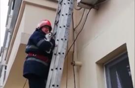 Motanul Sandale, salvat de pompieri de pe o unitate de aer condiţionat