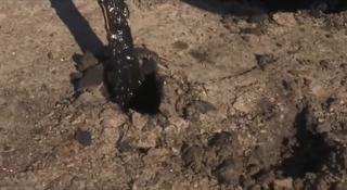 Poluare cu petrol, pe plaja de la Vadu. Localnicii se tem pentru apa din fântâni