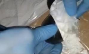 Sârbii arestaţi în cazul cocainei din Deltă contestă decizia magistraţilor