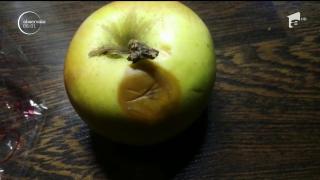 Merele cerute de Uniunea Europeană pentru elevii din România, mai mult vis decât realitate