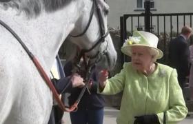 Regina Elisabeta a II-a a hrănit mai mulţi cai în timpul primei sale vizite în comitatul Somerset din ultimii şapte ani