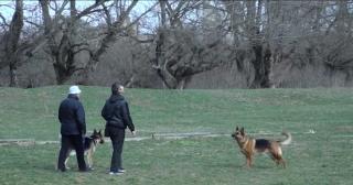 Cum protejam pielea când ieşim în natură. Ce spun dermatologii