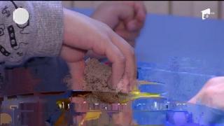 Copiii cu autism, integraţi în şcolile de stat. Specialiștii români învață de la străini cum să aplice cele mai noi terapii