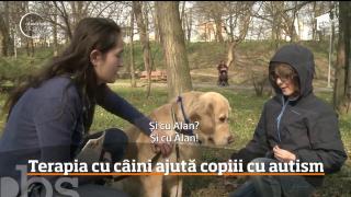 Terapie cu câini pentru copiii care suferă de anumite forme de autism