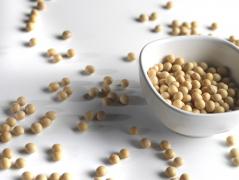 Soia poate fi un aliment periculos, dacă e consumat în exces