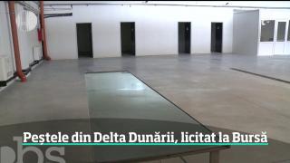 Peștele din Delta Dunării, licitat la Bursa din Tulcea (Video)
