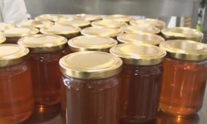 Apicultorii români riscă să rămână cu tone de miere nevândute. Care sunt cauzele