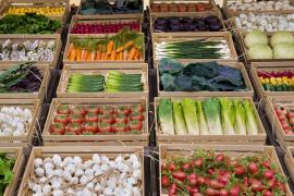 Piaţă sau supermarket: de unde pot fi cumpărate alimente ieftine şi bune