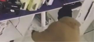 Jaf cu dureri de cap într-un magazin din Detroit