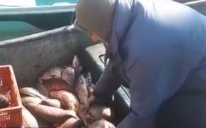 Bursa de peşte din Tulcea a fost inaugurată, după 10 ani de așteptări