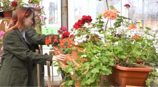 Viitorii agronomi nu au unde să facă practică şi învaţă să lucreze pământul doar din cărţi