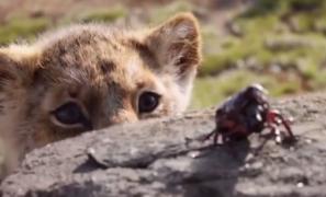 Disney şi-a surprins fanii cu un nou trailer pentru filmul animat "Lion King"