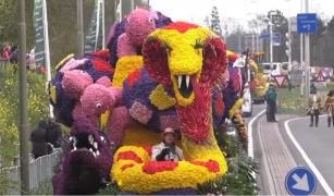 Paradă cu milioane de flori, în Olanda