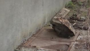 Fosa septică în care a murit copilul de trei ani, din Iași, săpată chiar de tatăl lui