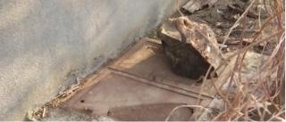 Dosar penal pentru omor din culpă, în cazul copilului care a murit după ce a căzut în fosa septică a şcolii