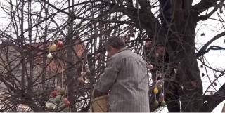 La Ghiorghieni, în Harghita, s-a împodobit un copac cu ouă încondeiate de Paştele Catolic