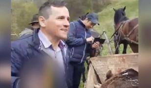 Reacția primarului din Buzău care a sărbătorit lângă un urs împușcat: ”Am fost luat un pic de extazul trăit”