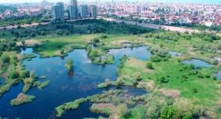 Ministerul Turismului va înfiinţa o reţea naturală ecoturistică. Care sunt atracţiile principale (Video)