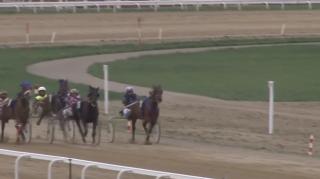 Cascadorul Filimon Iordache, număr unic de dresură ecvestră, la singurul Hipodrom de trap din ţară (Video)