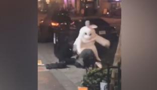 Un iepuraș de Paște s-a luat la bătaie pe o stradă din Florida (Video)