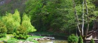 Locul din Retezat unde turiştii merg pentru a-şi recupera liniştea sufletească