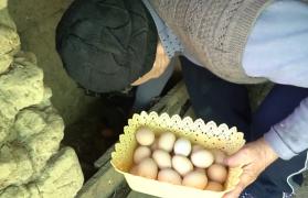 Bunătăți pentru românii plecați în toate colţurile Europei (Video)