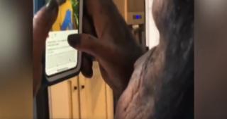 Un cimpanzeu foloseşte aplicaţia Instagram pe un telefon inteligent (Video)