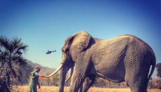 Prinţul Harry a realizat un întreg album foto în sălbăticiile Africii (Video)