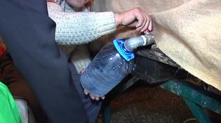 Credincioşii ortodocşi sărbătoresc Izvorul Tămăduirii