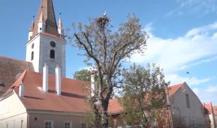 Șașii de peste hotare, în vizită pe meleagurile natale