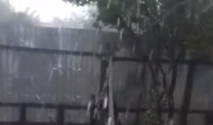 Prăpăd la Grădiştea, în Giurgiu. A bătut piatra trei minute, a distrus toţi pomii (video)