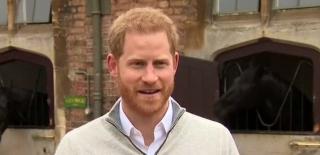 Fiul Prințului Harry, al șaptelea în ordinea succesiunii la tron