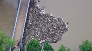 Furtunile şi inundaţiile fac ravagii în zona de Sud-Est a Statelor Unite (Video)