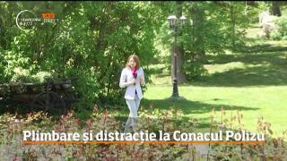 Observator 13 Weekend