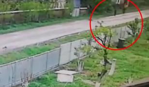 Un bărbat din Lipova a intrat cu bicicleta într-un vecin, a căzut în cap şi a murit (video)