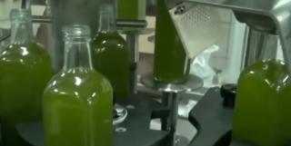 Sute de tone de ulei de măsline fals, vândut în Europa