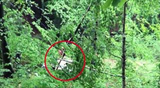 Primele ipoteze ale specialiștilor în cazul prăbușirii avionului, la Buzău