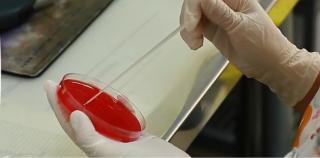 Apa sterilă de la matenitatea Giuleşti, contaminată cu bacterii